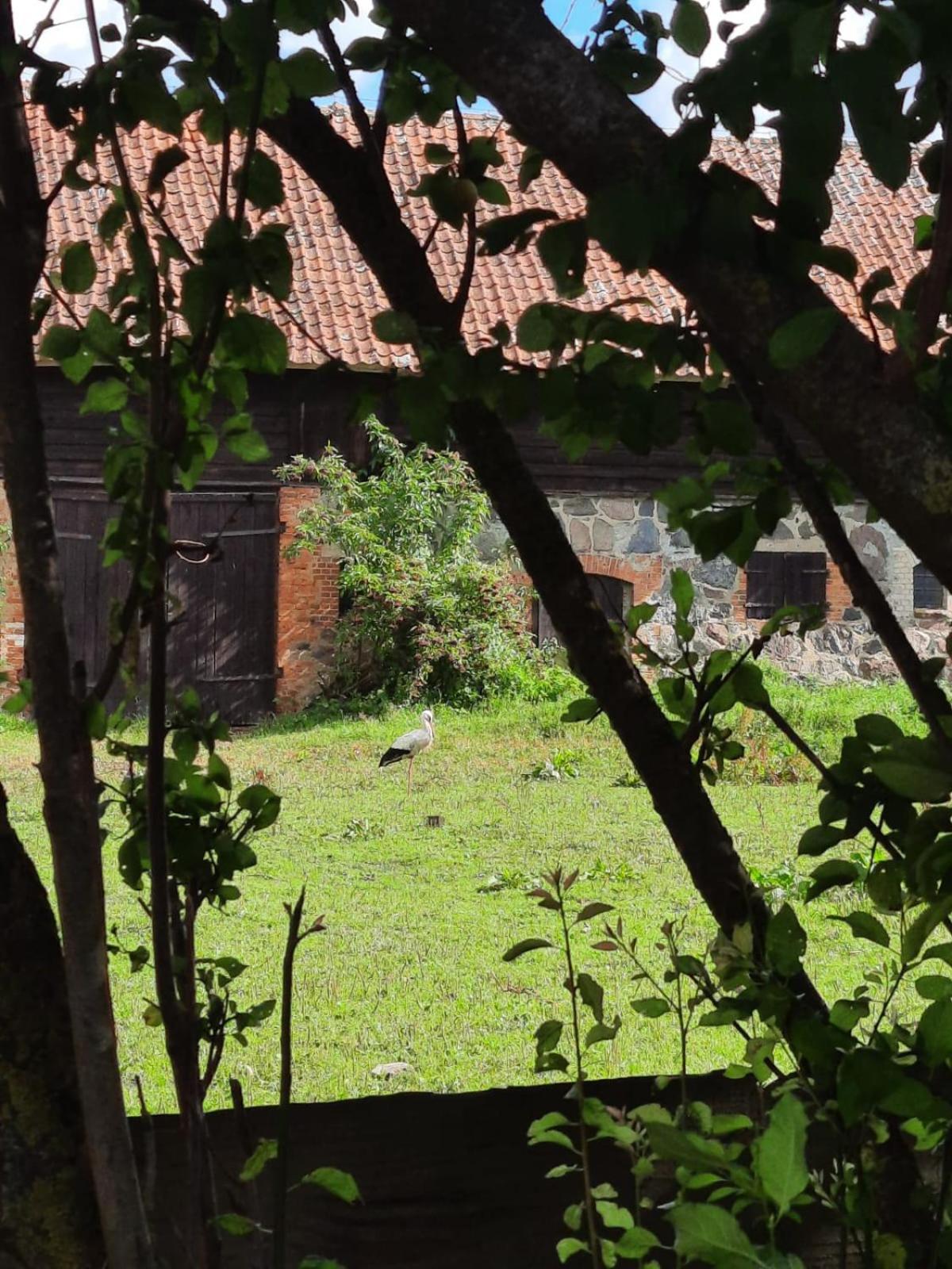 Dom Na Mazurach Pilec Bed & Breakfast Exterior photo